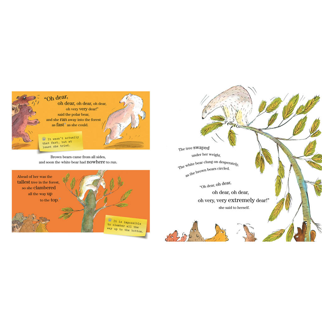 Boogie Bear (Book & CD Edition)