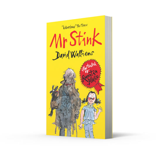 Mr Stink (Paperback)